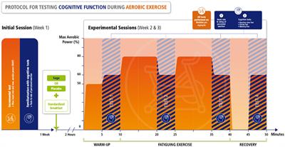 Acute Effects of Salvia Supplementation on Cognitive Function in Athletes During a Fatiguing Cycling Exercise: A Randomized Cross-Over, Placebo-Controlled, and Double-Blind Study